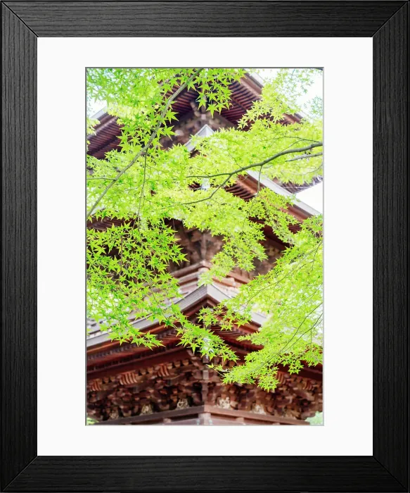 Framed Print : Gotokuji temple near Tokyo, Japan Japan