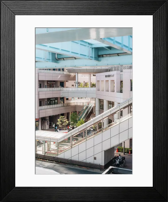 Framed Print : Obaida, Tokyo, Japan Framed Print : Obaida, Tokyo, Japan