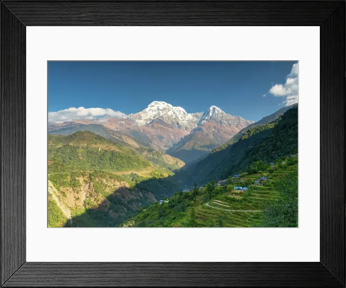 Framed Print : Rice Terraces with Annapurna South (7, 219m), Landruk, Nepal, Asia Framed Print : Rice Terraces with Annapurna South (7, 219m), Landruk, Nepal, Asia