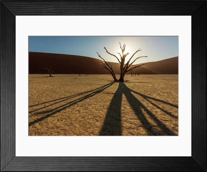 Framed Print : Africa, Namibia. Namib Naukluft National park. Sunrise in the Dead vlei Framed Print : Africa, Namibia. Namib Naukluft National park. Sunrise in the Dead vlei