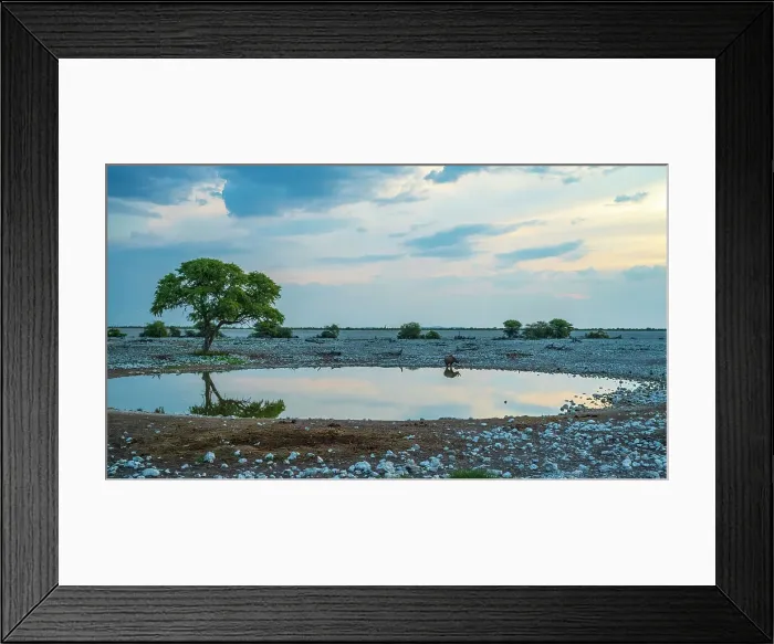 Framed Print : Africa, Namibia, Etosha National Park. Sunset at the Okaukuejo Waterhole with a rhino drinking
