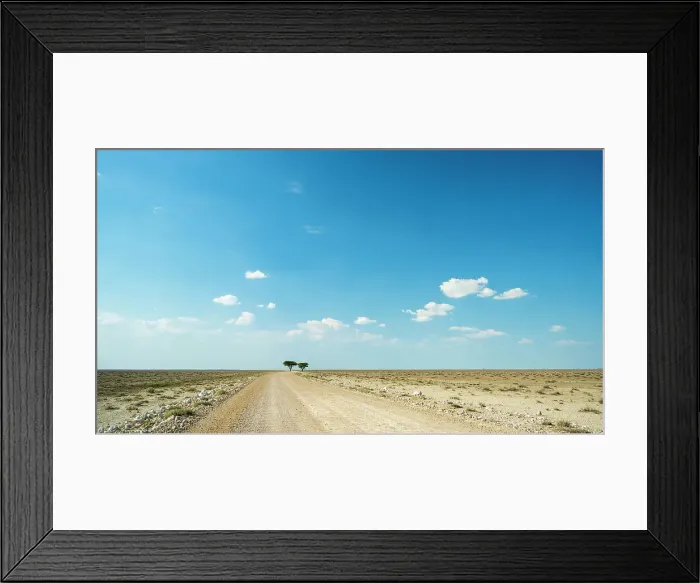 Framed Print : Africa, Namibia, Etosha National Park. Gravel road near the Etosha pan with two lone trees Framed Print : Africa, Namibia, Etosha National Park. Gravel road near the Etosha pan with two lone trees