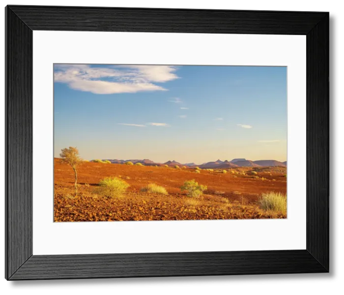 Framed Print : Africa, Namibia, Damaraland, Etendeka Plateau. View over the landscape with its typical table mountains and euphorbia bushes Framed Print : Africa, Namibia, Damaraland, Etendeka Plateau. View over the landscape with its typical table mountains and euphorbia bushes