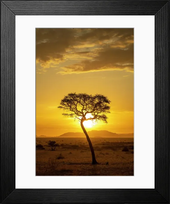 Framed Print : Africa, Namibia. Namib Naukluft area. A sunset with a tree