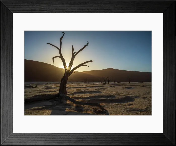 Framed Print : Africa, Namibia. Namib Naukluft National park. Sunrise in the Dead vlei Framed Print : Africa, Namibia. Namib Naukluft National park. Sunrise in the Dead vlei
