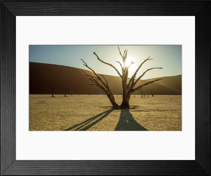 Framed Print : Africa, Namibia. Namib Naukluft National park. Sunrise in the Dead vlei Framed Print : Africa, Namibia. Namib Naukluft National park. Sunrise in the Dead vlei