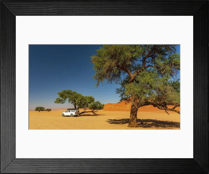 Framed Print : Africa, Namibia. Namib Naukluft National park. Safari car under a tree