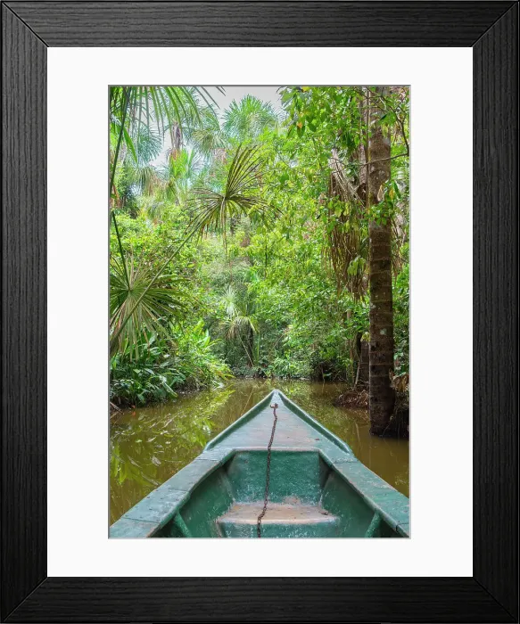 Framed Print : Tourist boat going through jungle on canal of Lake Sandoval, Tambopata National Reserve near Puerto Maldonado, Tambopata Province, Madre de Dios Region, Peru Framed Print : Tourist boat going through jungle on canal of Lake Sandoval, Tambopata National Reserve near Puerto Maldonado, Tambopata Province, Madre de Dios Region, Peru