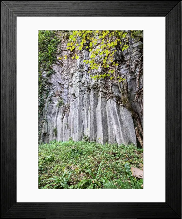 Framed Print : Spain, Catalonia, Olot, Basaltic rocks at Cingles de Fontfreda Framed Print : Spain, Catalonia, Olot, Basaltic rocks at Cingles de Fontfreda