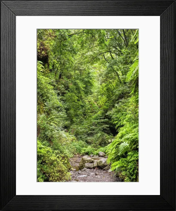 Framed Print : Spain, Canary Islands, La Palma, San Andres, The trail to the Los Tilos Falls