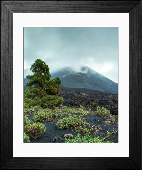 Framed Print : Spain, Canary Islands, La Palma, La Laguna, Tajogaite lava flows viewpoint Framed Print : Spain, Canary Islands, La Palma, La Laguna, Tajogaite lava flows viewpoint