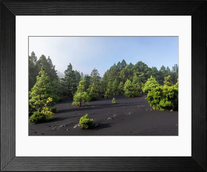 Framed Print : Spain, Canary Islands, La Palma, El Paso, Landscape at the Llano de Jable Framed Print : Spain, Canary Islands, La Palma, El Paso, Landscape at the Llano de Jable