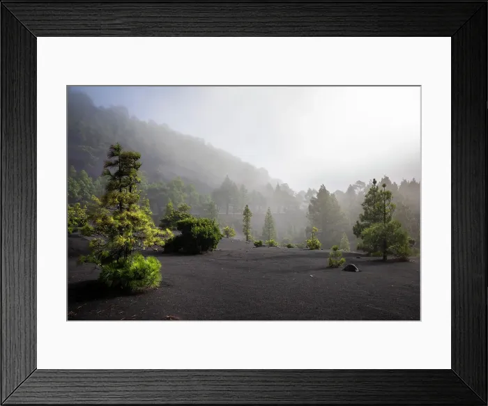 Framed Print : Spain, Canary Islands, La Palma, El Paso, Landscape at the Llano de Jable Framed Print : Spain, Canary Islands, La Palma, El Paso, Landscape at the Llano de Jable