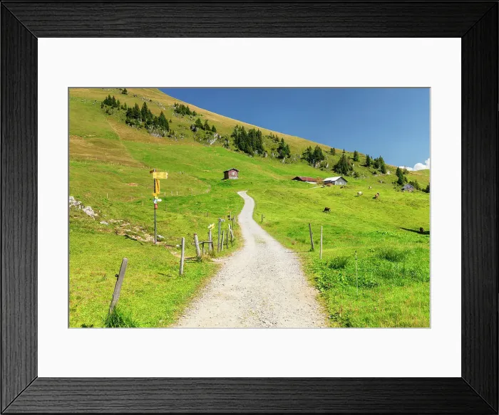 Framed Print : Hiking path to Niederbauen Mountain top (1923m), Lake Lucerne, Canton Uri, Switzerland Framed Print : Hiking path to Niederbauen Mountain top (1923m), Lake Lucerne, Canton Uri, Switzerland