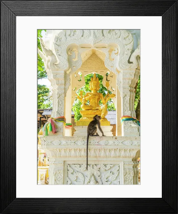 Framed Print : A monkey on a small shrine on Ao Nang Beach, Ao Nang, Krabi, Thailand Framed Print : A monkey on a small shrine on Ao Nang Beach, Ao Nang, Krabi, Thailand