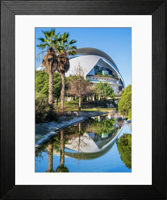 Framed Print : Palau de les arts Reina Sofia opera house, City of Arts and Sciences, Valencia, Spain Framed Print : Palau de les arts Reina Sofia opera house, City of Arts and Sciences, Valencia, Spain