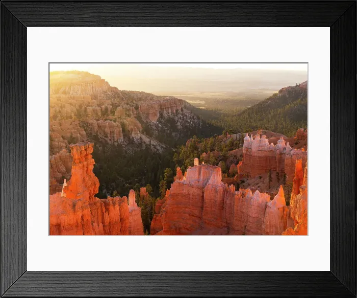 Framed Print : Bryce Canyon National Park during a summer sunrise, Utah, USA