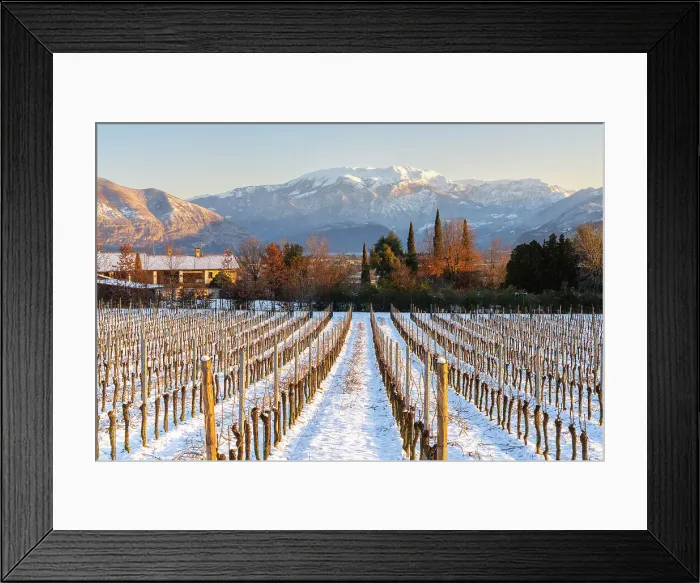 Framed Print : Sunrise in Franciacorta after a snowfall, Brescia province in Lombardy district, Italy Framed Print : Sunrise in Franciacorta after a snowfall, Brescia province in Lombardy district, Italy