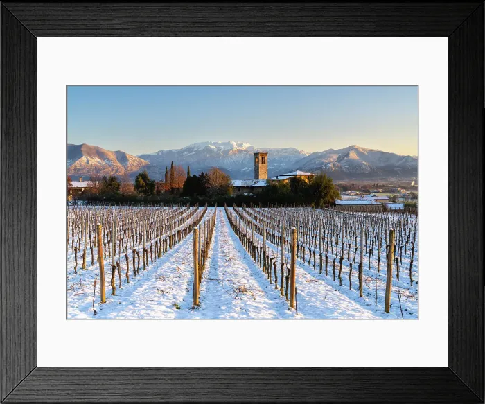 Framed Print : Sunrise in Franciacorta after a snowfall, Brescia province in Lombardy district, Italy Framed Print : Sunrise in Franciacorta after a snowfall, Brescia province in Lombardy district, Italy