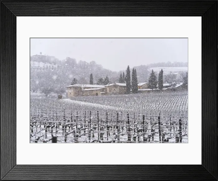Framed Print : Franciacorta vineyards during a snowfall, Brescia province in Lombardy district, Italy Framed Print : Franciacorta vineyards during a snowfall, Brescia province in Lombardy district, Italy