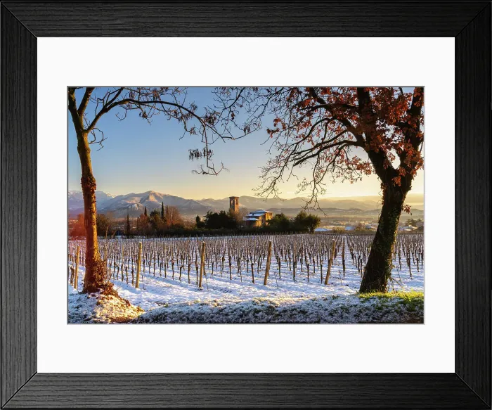 Framed Print : Sunrise in Franciacorta after a snowfall, Brescia province in Lombardy district, Italy Framed Print : Sunrise in Franciacorta after a snowfall, Brescia province in Lombardy district, Italy