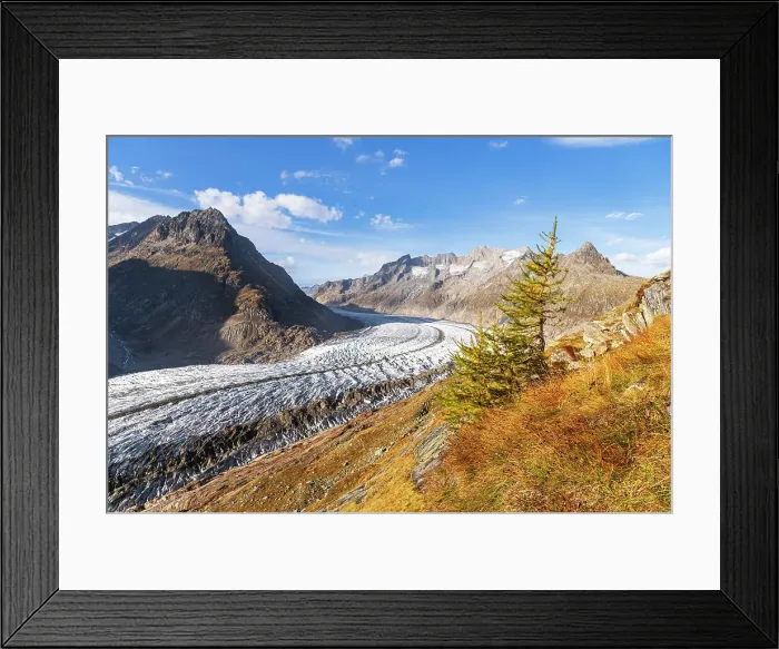 Framed Print : Aletsch glacier seen from above during an autumn afternoon, Aletsch glacier, Bernese Alps, Valais canton, Switzerland Framed Print : Aletsch glacier seen from above during an autumn afternoon, Aletsch glacier, Bernese Alps, Valais canton, Switzerland
