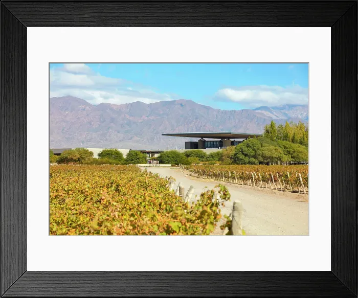 Framed Print : The Alfa Crux winery (former O. Fournier) and vineyards in autumn with the Andes mountains in background, Eugenio Bustos, Valle de Uco, Mendoza, Argentina Framed Print : The Alfa Crux winery (former O. Fournier) and vineyards in autumn with the Andes mountains in background, Eugenio Bustos, Valle de Uco, Mendoza, Argentina