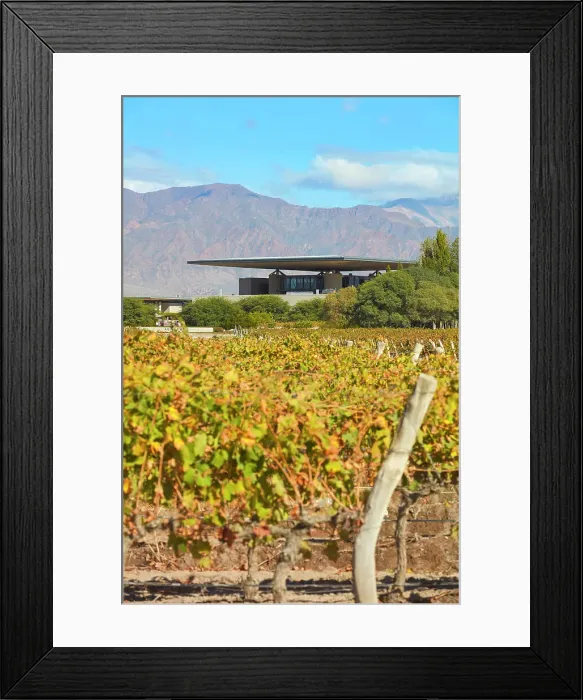 Framed Print : The Alfa Crux winery (former O. Fournier) and vineyards in autumn with the Andes mountains in background, Eugenio Bustos, Valle de Uco, Mendoza, Argentina Framed Print : The Alfa Crux winery (former O. Fournier) and vineyards in autumn with the Andes mountains in background, Eugenio Bustos, Valle de Uco, Mendoza, Argentina