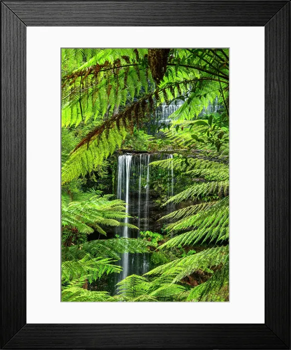 Framed Print : Australia, Tasmania, Mount Field National Park, Russel Falls Framed Print : Australia, Tasmania, Mount Field National Park, Russel Falls