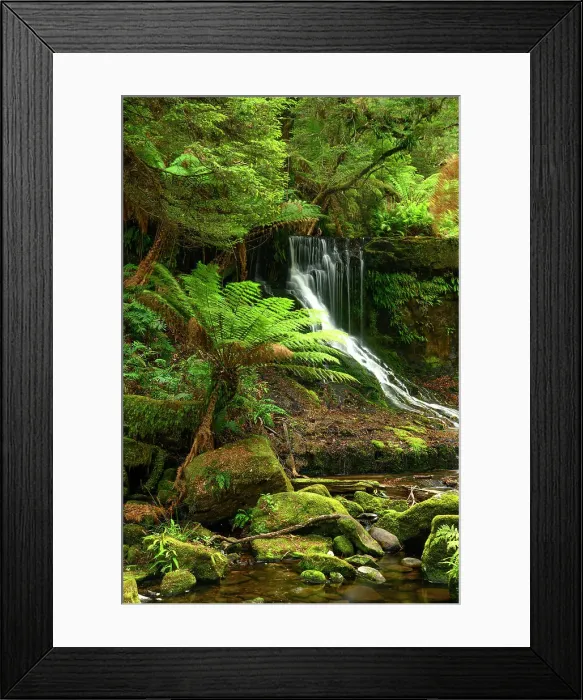 Framed Print : Australia, Tasmania, Mount Field National Park, Horsetail Falls Framed Print : Australia, Tasmania, Mount Field National Park, Horsetail Falls