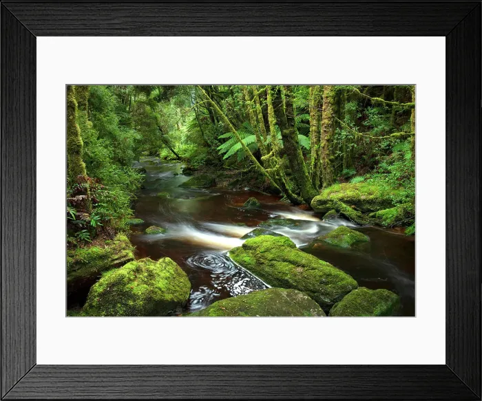 Framed Print : Australia, Tasmania, Franklin-Gordon Wild Rivers National Park, Nelson Falls creek Framed Print : Australia, Tasmania, Franklin-Gordon Wild Rivers National Park, Nelson Falls creek
