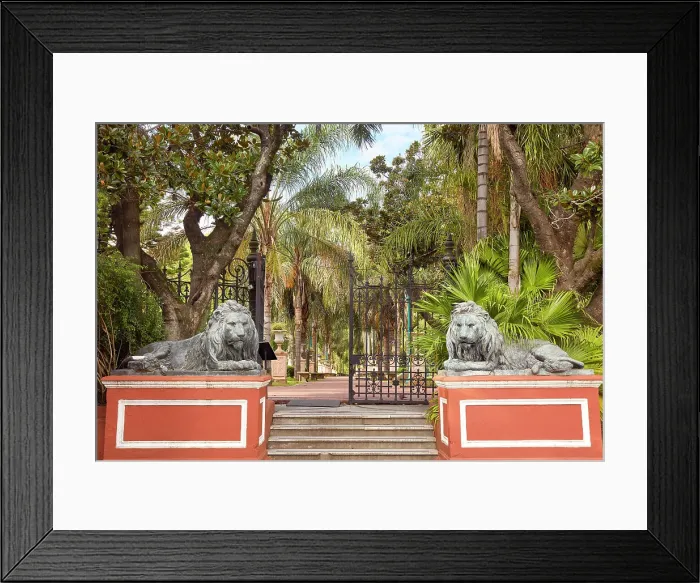 Framed Print : Lions at the entrance of the National Historical Museum (Museo Historico Nacional) in San Telmo, Buenos Aires, Argentina Framed Print : Lions at the entrance of the National Historical Museum (Museo Historico Nacional) in San Telmo, Buenos Aires, Argentina