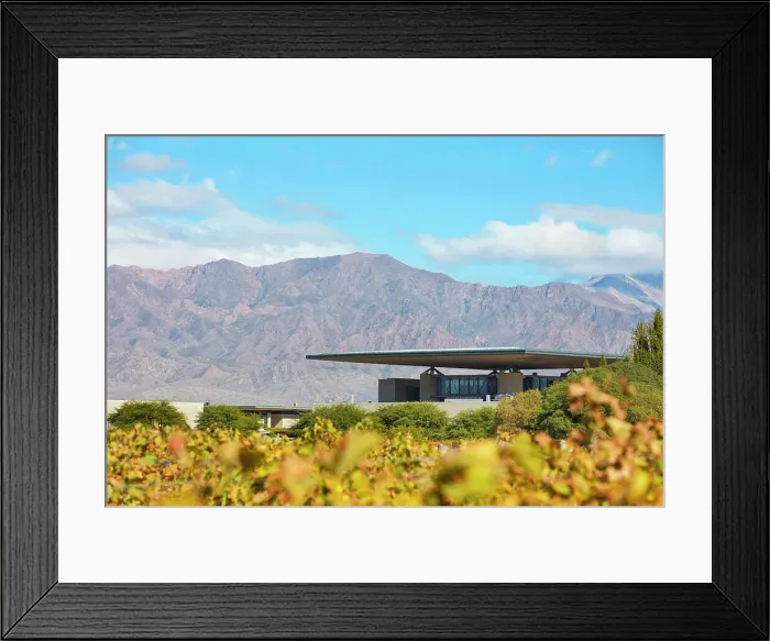 Framed Print : The Alfa Crux winery (former O. Fournier) and vineyards in autumn with the Andes mountains in background, Eugenio Bustos, Valle de Uco, Mendoza, Argentina Framed Print : The Alfa Crux winery (former O. Fournier) and vineyards in autumn with the Andes mountains in background, Eugenio Bustos, Valle de Uco, Mendoza, Argentina