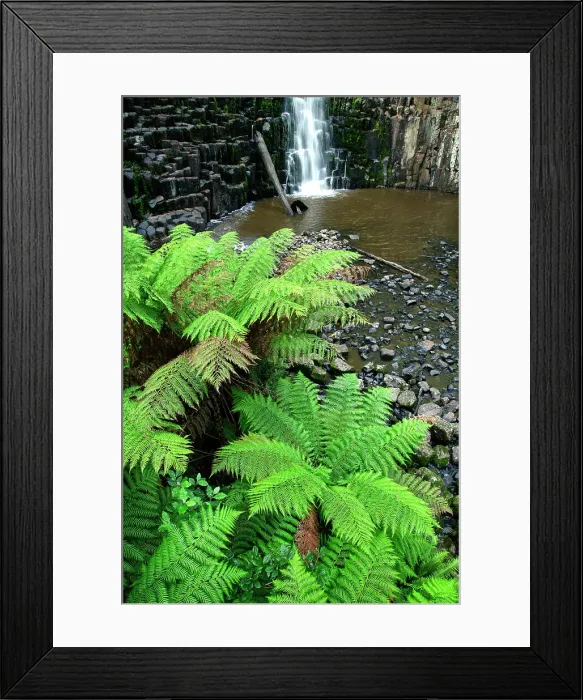 Framed Print : Australia, Tasmania, Dip Falls Framed Print : Australia, Tasmania, Dip Falls