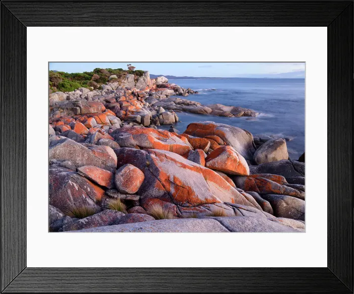Framed Print : Australia, Tasmania, East Coast, Bay of Fires, Conservation area