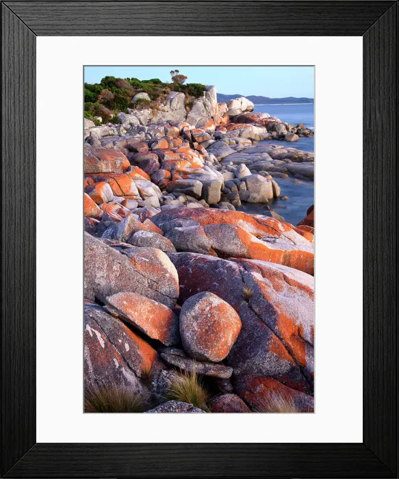 Framed Print : Australia, Tasmania, East Coast, Bay of Fires, Conservation area Framed Print : Australia, Tasmania, East Coast, Bay of Fires, Conservation area