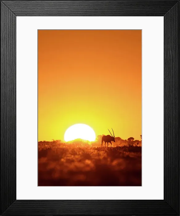 Framed Print : Wildebeest at sunset, Makgadikgadi Salt Pans, Botswanasky Framed Print : Wildebeest at sunset, Makgadikgadi Salt Pans, Botswanasky