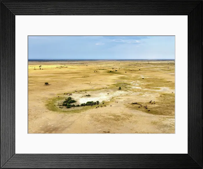 Framed Print : Aerial view of Salt Pans and Wildebeest, Makgadikgadi Salt Pans, Botswana Framed Print : Aerial view of Salt Pans and Wildebeest, Makgadikgadi Salt Pans, Botswana
