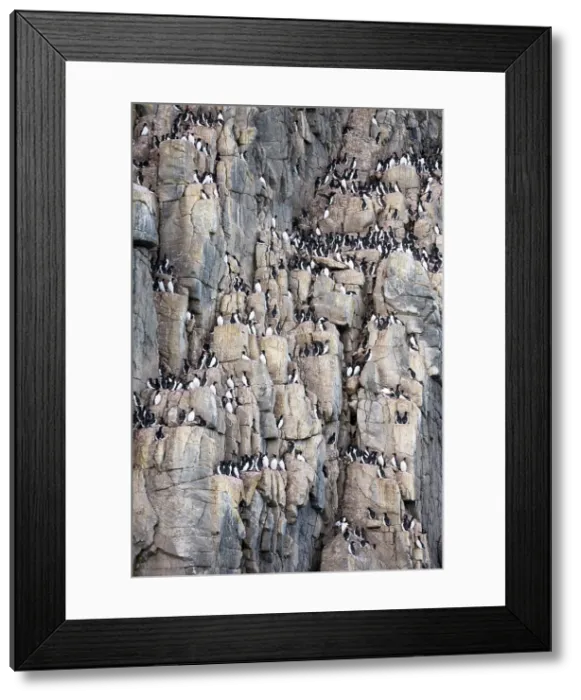 Framed Print : Coburg Island, Nunavut, Canada, Arctic Circle