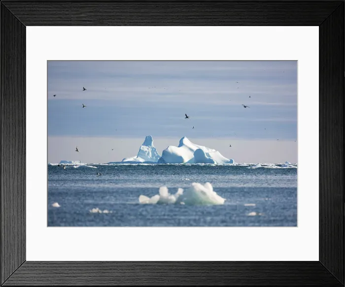 Framed Print : Coburg Island, Nunavut, Canada, Arctic Circle Framed Print : Coburg Island, Nunavut, Canada, Arctic Circle