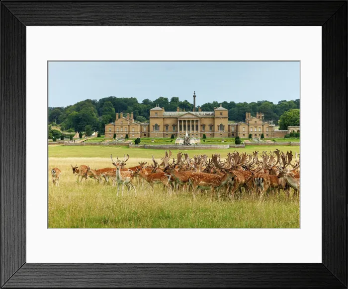 Framed Print : Holkham Hall, Norfolk, England Framed Print : Holkham Hall, Norfolk, England