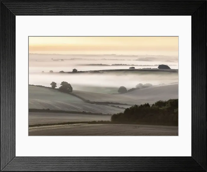 Framed Print : Arable fields near Dorchester on a misty late summer morning, Well Bottom Down, Dorset, England, UK Framed Print : Arable fields near Dorchester on a misty late summer morning, Well Bottom Down, Dorset, England, UK