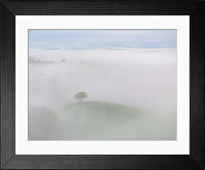 Framed Print : Lone hilltop tree emerges from a sea of morning mist, Devon, England. Spring (May) 2024 Framed Print : Lone hilltop tree emerges from a sea of morning mist, Devon, England. Spring (May) 2024