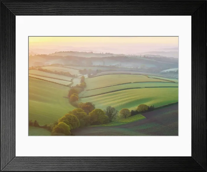 Framed Print : Beautiful spring dawn over patchwork rolling farmland, Crediton, Devon, England. Spring (April) 2024 Framed Print : Beautiful spring dawn over patchwork rolling farmland, Crediton, Devon, England. Spring (April) 2024