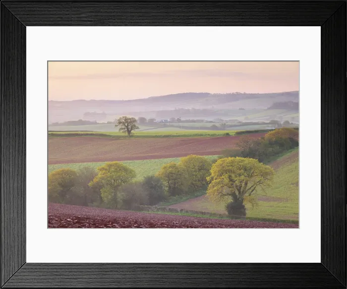 Framed Print : Beautiful rolling countryside on a misty morning, Crediton, Devon, England. Spring (May) 2024 Framed Print : Beautiful rolling countryside on a misty morning, Crediton, Devon, England. Spring (May) 2024