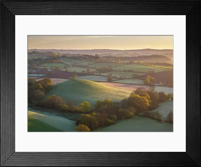 Framed Print : Hilltop tree in patchwork rolling countryside, Devon, England. Spring (April) 2024 Framed Print : Hilltop tree in patchwork rolling countryside, Devon, England. Spring (April) 2024
