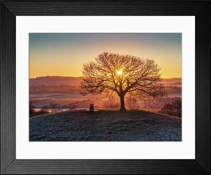 Framed Print : Sunrise over the lone hilltop tree at Burrow Hill Cider Farm, Somerset, England. Winter (January) 2024 Framed Print : Sunrise over the lone hilltop tree at Burrow Hill Cider Farm, Somerset, England. Winter (January) 2024
