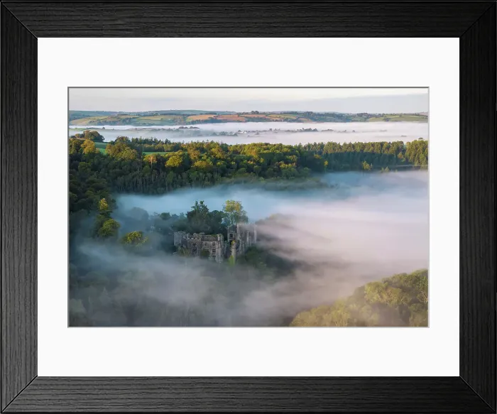 Framed Print : The ruins of Berry Pomeroy Castle emerging from swirling mist, South Devon, England. Autumn (September) 2023 Framed Print : The ruins of Berry Pomeroy Castle emerging from swirling mist, South Devon, England. Autumn (September) 2023