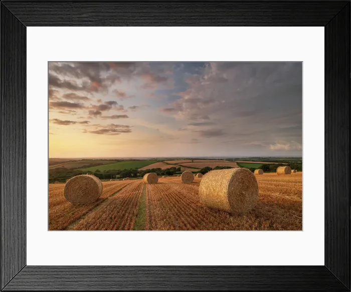 Framed Print : Straw Bales at sunset in rural Devon, Livaton, Devon, England. Summer (July) 2019 Framed Print : Straw Bales at sunset in rural Devon, Livaton, Devon, England. Summer (July) 2019