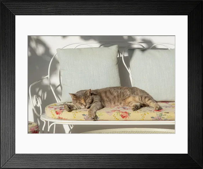 Framed Print : Sleeping cat, Hydra Town, Hydra (Ydra), Saronic Islands, Greece Framed Print : Sleeping cat, Hydra Town, Hydra (Ydra), Saronic Islands, Greece